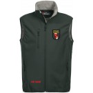 color:pistole 96